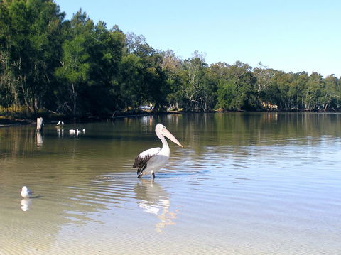 Paradise Bungalow Waterfront - Tourism Gold Coast 2