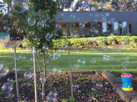 Paradiso Kinglake - Tourism Gold Coast 1