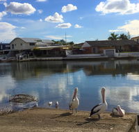 Pelican Cove Apartments - Tourism Gold Coast