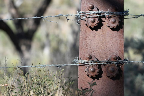 Pichi Richi Park - Tourism Gold Coast 2