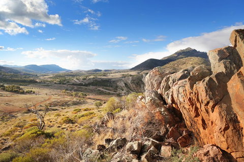 Pichi Richi Park - Tourism Gold Coast 0