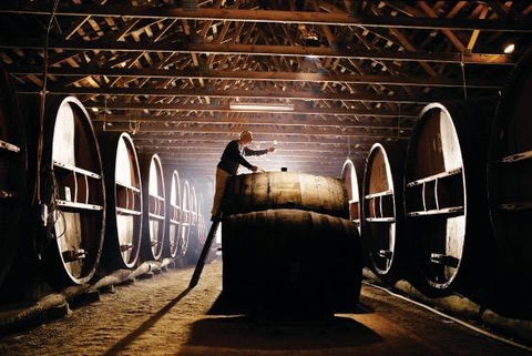 Pieter Van Gent Winery & Vineyard - Tourism Gold Coast 0