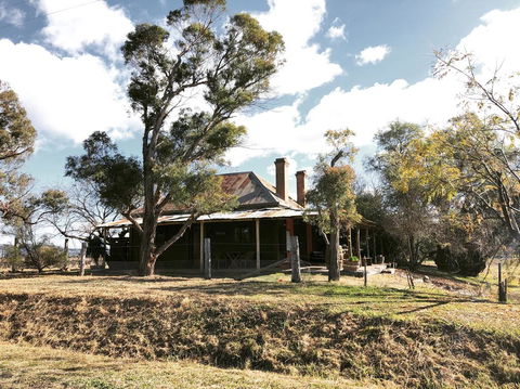 Pieter Van Gent Winery & Vineyard - Tourism Gold Coast 3