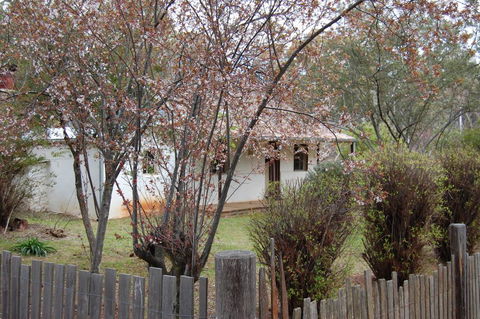 Pines Cottage - Tourism Gold Coast 3
