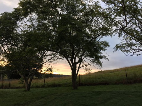 Ponytail Farmhouse - Gold Coast 0