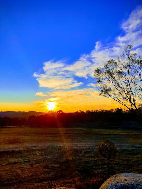 R & R On The Ravine - Tourism Gold Coast 3