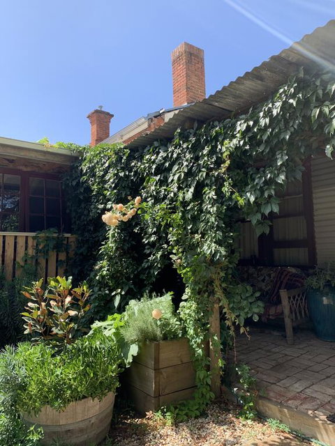 Red Hill Cottage - Gold Coast 2