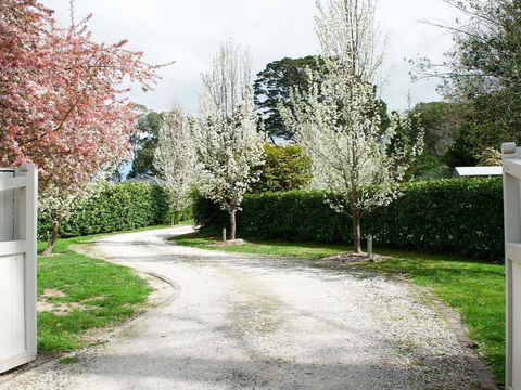 Robin Hill Manor - Rambling Retreat & Tennis Court - Tourism Gold Coast 0