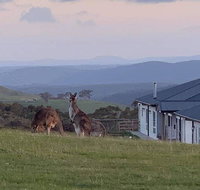 Rooks Edge - Tourism Gold Coast