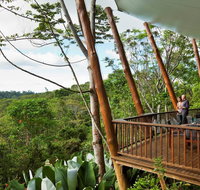 Rose Gums Wilderness Retreat - Tourism Gold Coast