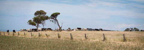 SALT - 37 Oceanview Drive - Tourism Gold Coast 2