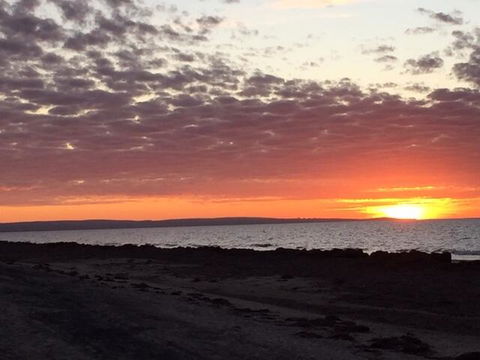 Salty Dayz - Tourism Gold Coast 3