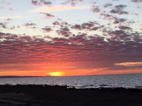Salty Dayz - Tourism Gold Coast 2