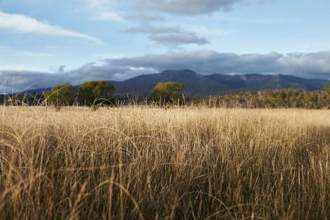 Second Flat Retreat - Tourism Gold Coast 2