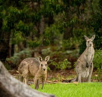 Secura Lifestyle Countryside Kalaru - Tourism Gold Coast