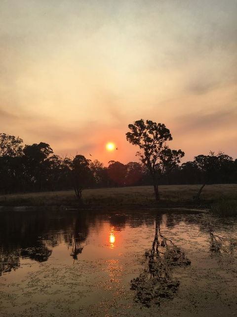 Serenity On Stanthorpe - Tourism Gold Coast 2