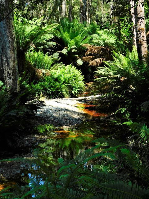 Shakespeare's Wilderness Chalet - Tourism Gold Coast 3