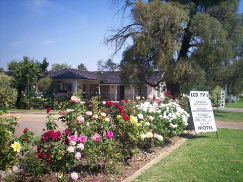 Southern Comfort Motor Inn - Tourism Gold Coast 1