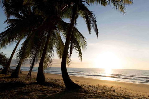 Spice At Oak Award Winning Luxury Absolute Oceanfront House Oak Beach Near Port Douglas - Tourism Gold Coast 1