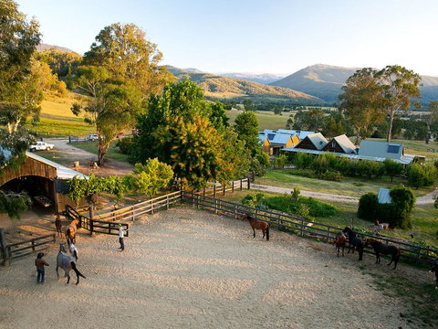 Spring Spur - Tourism Gold Coast 3