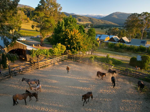 Spring Spur - Tourism Gold Coast 0
