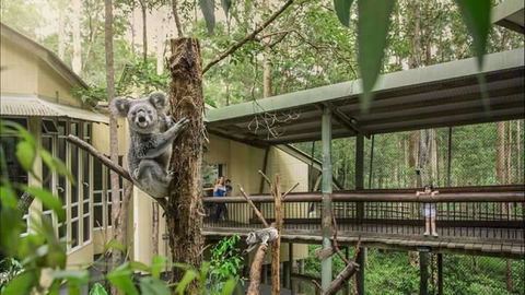 Springwood Meditation Centre - Tourism Gold Coast 0