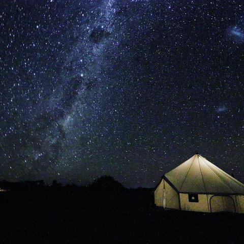 Starfields Luxury Camping - Tourism Gold Coast 3