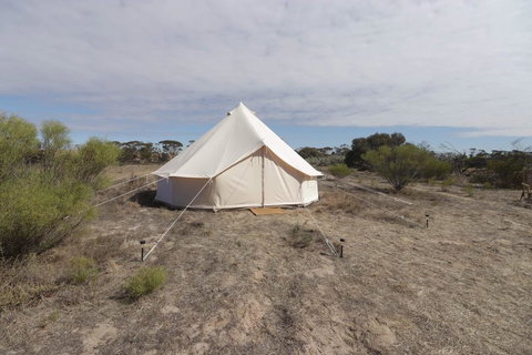 Starfields Luxury Camping - Tourism Gold Coast 1