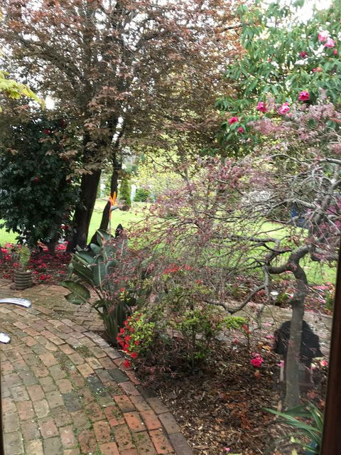 Stony Rise Cottage B&B - Tourism Gold Coast 1