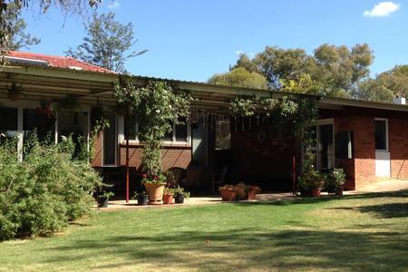 Sue's Sanctuary - Tourism Gold Coast 3