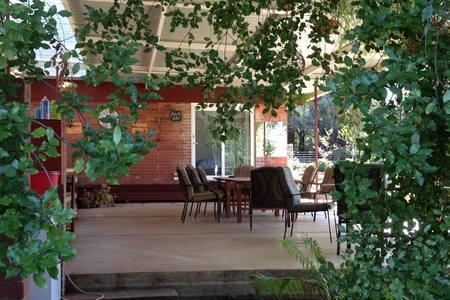 Sue's Sanctuary - Tourism Gold Coast 1