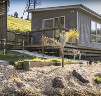 Sunny Gum - Gold Coast