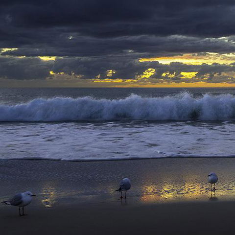 Surfers Horizons - Tourism Gold Coast 3