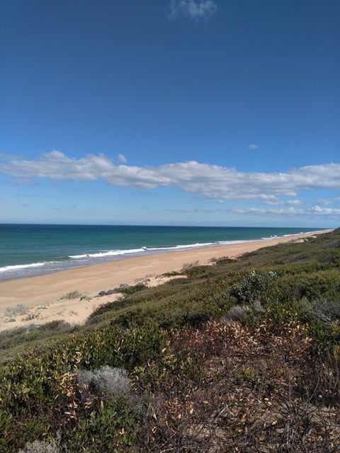 Symuya - Tourism Gold Coast 1