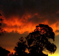 Taits Place Vineyard B  B - Gold Coast