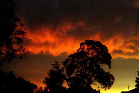 Taits Place Vineyard B & B - Gold Coast 0