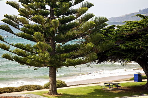 Penguin Beachfront Apartments - Tourism Gold Coast 9