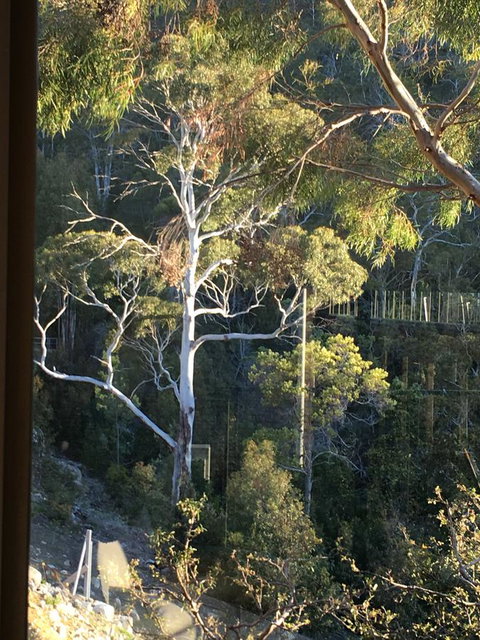 The Lookout - Tourism Gold Coast 22