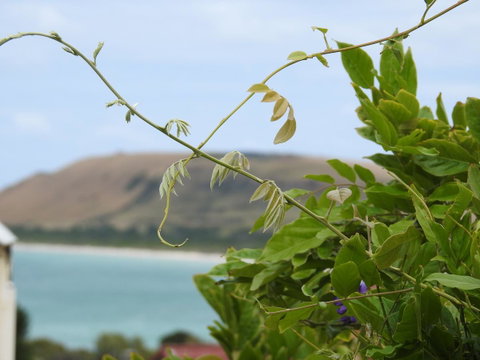 Ellie\'s Cottages - Tourism Gold Coast 3