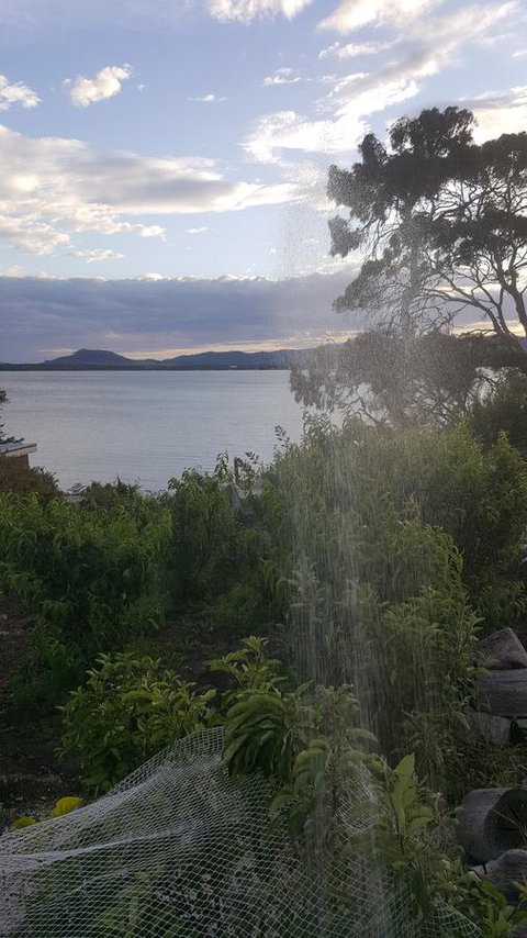 AppleBay Guest House - Tourism Gold Coast 22