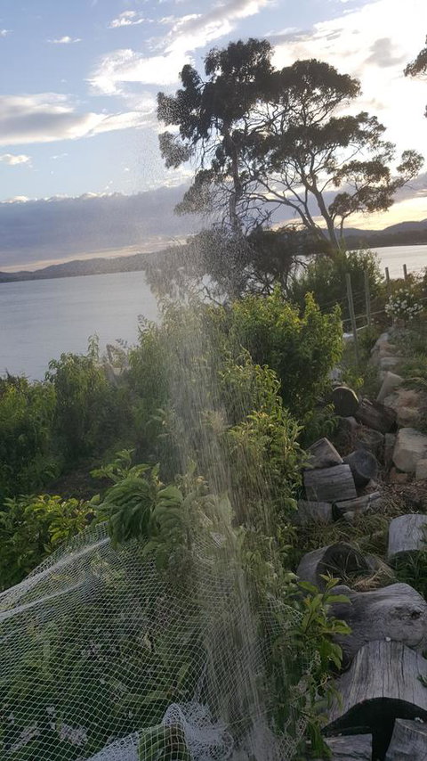 AppleBay Guest House - Tourism Gold Coast 21