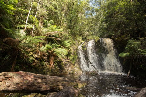 Strahan Village - Tourism Gold Coast 27