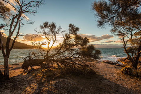 Freycinet Lodge - Gold Coast 44