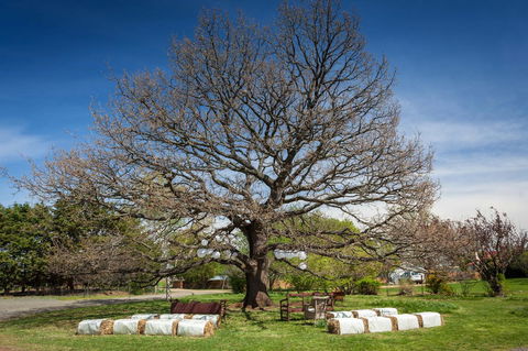 Ratho Farm - Tourism Gold Coast 8