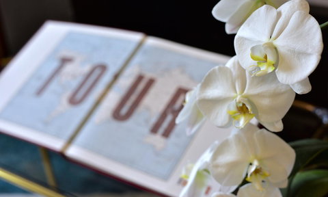 Lotus Gogh Apartment - Tourism Gold Coast 6