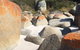Holland House Bay Of Fires - thumb 5