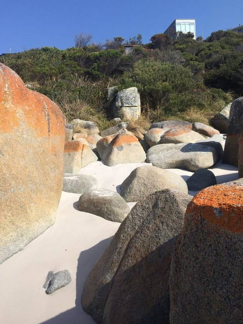 Holland House Bay Of Fires - Tourism Gold Coast 5