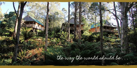 Lemonthyme Wilderness Retreat - Tourism Gold Coast 20