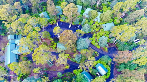 Lemonthyme Wilderness Retreat - Tourism Gold Coast 1
