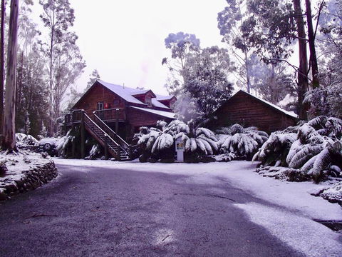 Lemonthyme Wilderness Retreat - Tourism Gold Coast 12